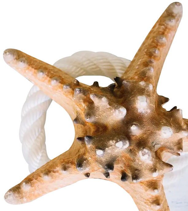 Star Fish