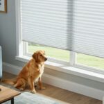 pet friendly window treatments